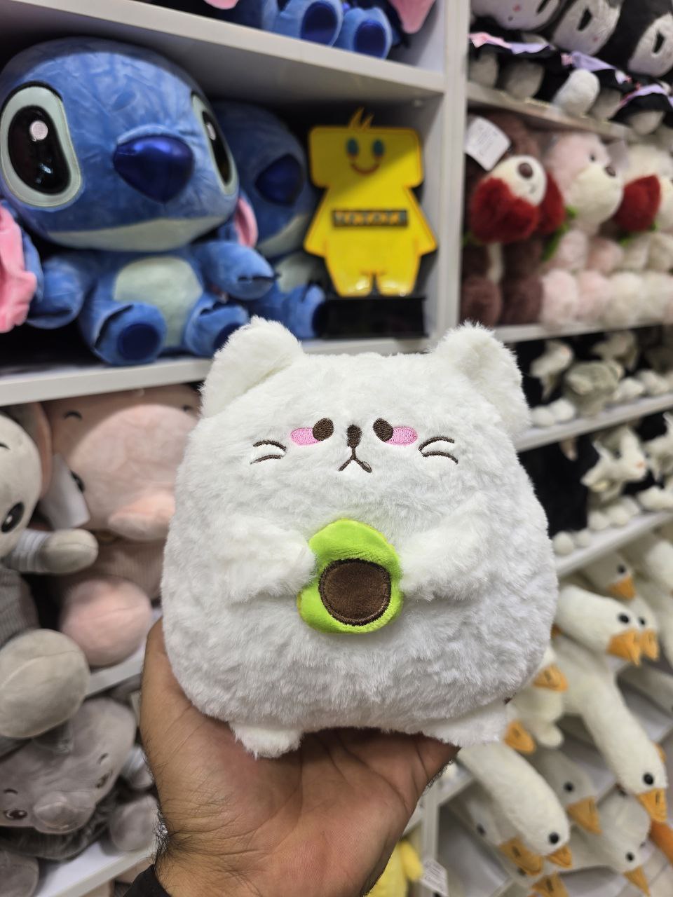 گربه آووکادو ب دسا